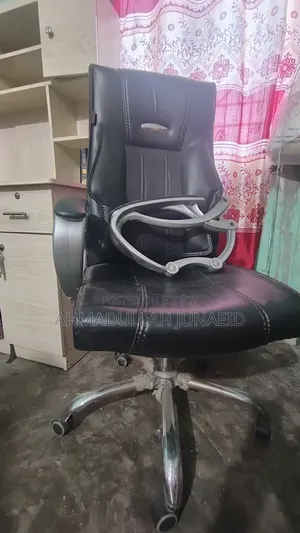 Ergonomic Chair