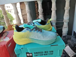 কার্বন প্লেট রানিং জুতো