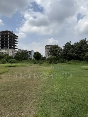 Ashulia 37 Bigha Industrial Land Sale