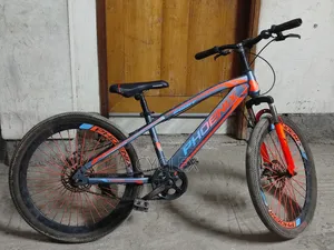 Phoenix Cycle 24 Size
