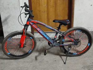 Phoenix Cycle 24 Size