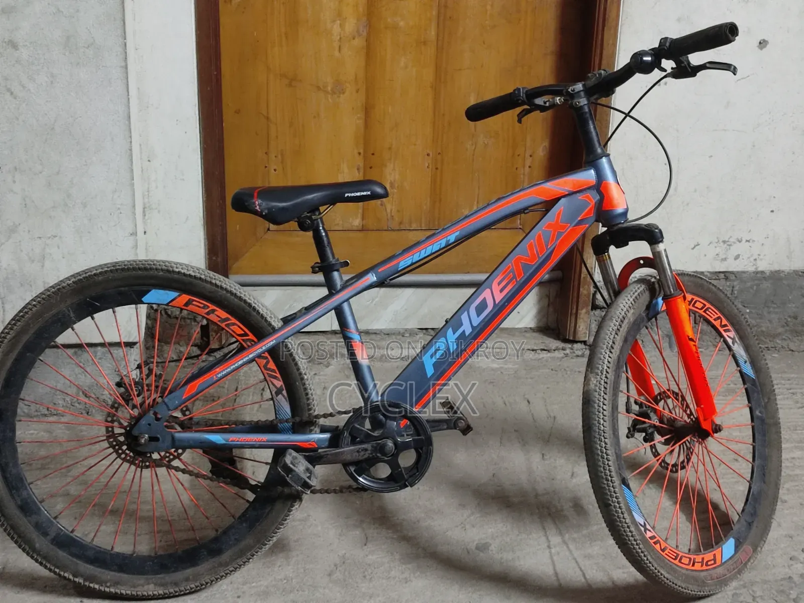 Phoenix Cycle 24 Size
