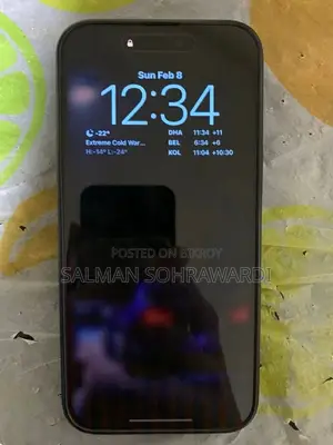 অ্যাপল আইফোন ১৫ প্রো ম্যাক্স ২৫৬ জিবি নীল