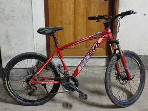 Phoenix 24 Size Gear Cycle