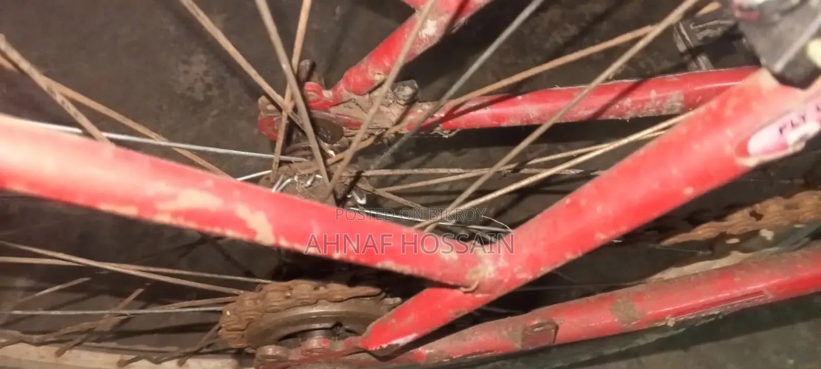 Cycle for Sale