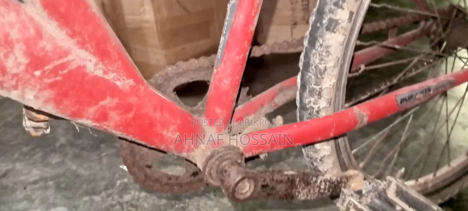 Cycle for Sale
