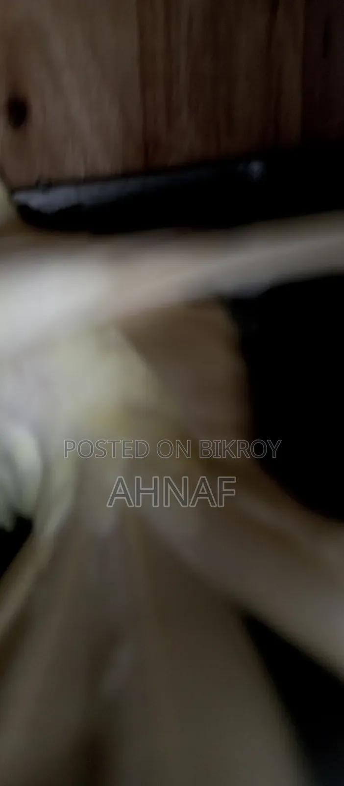 একজোড়া রানিং লুটিনো কোকাটেল বিক্রি হবে।