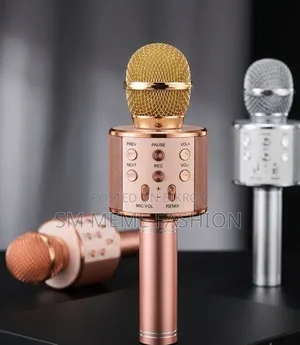 Ws-858 ওয়্যারলেস ব্লুটুথ কারাওকে মাইক্রোফোন
