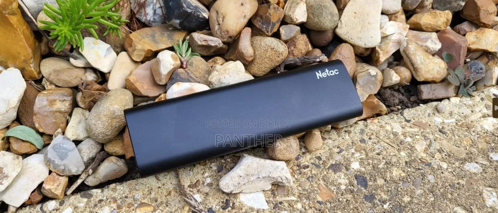 SSD Netac Z-Slim