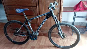 Phoenix Cycle
