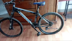 Phoenix Cycle