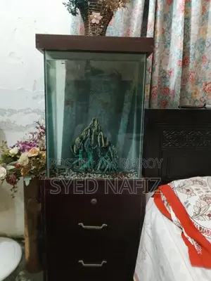 মাছের অ্যাকুরিয়াম বিক্রির জন্য
