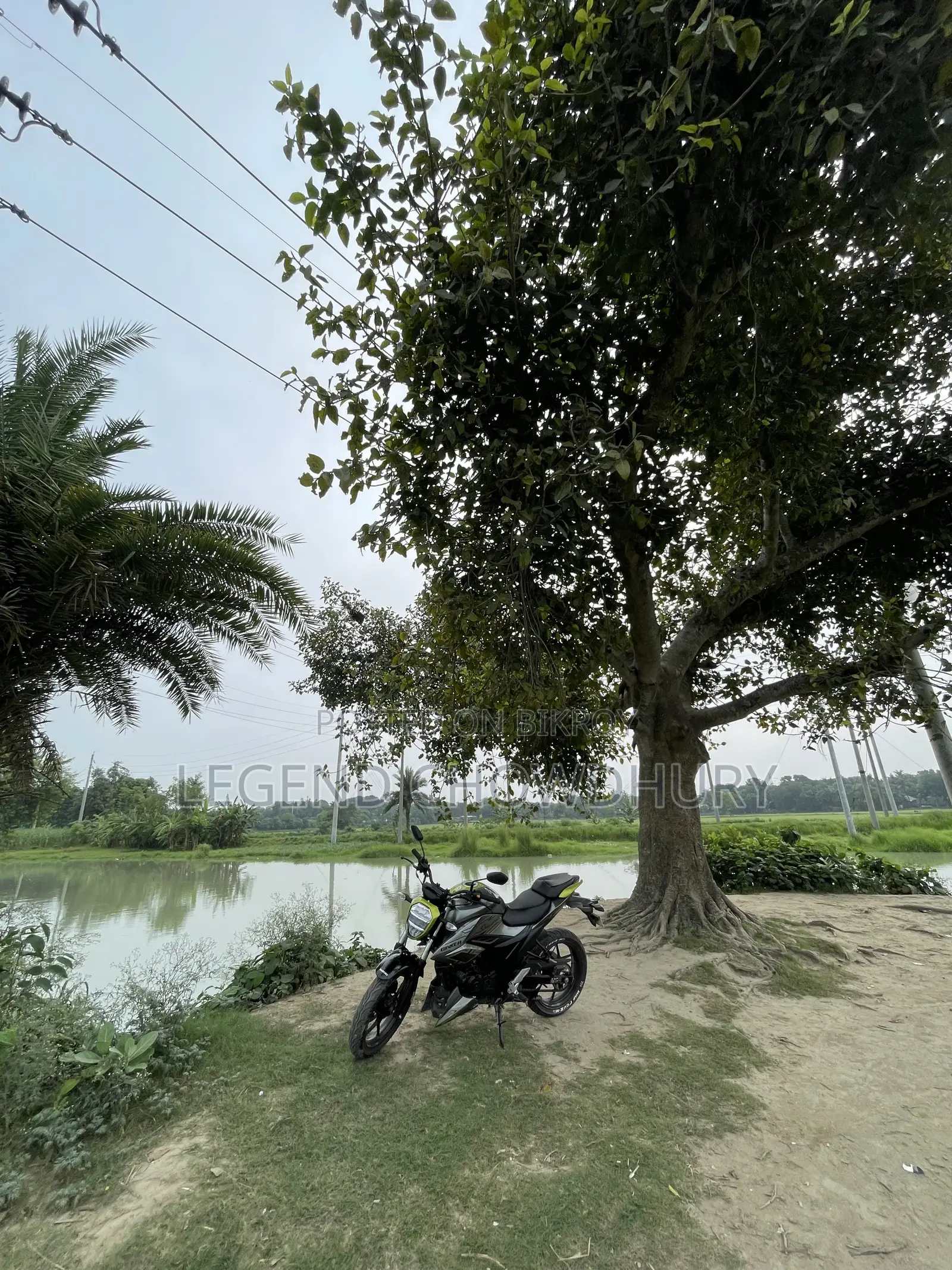সুজুকি জিক্সার ২০২৫ গ্রিন