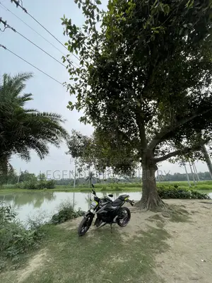 সুজুকি জিক্সার ২০২৫ গ্রিন