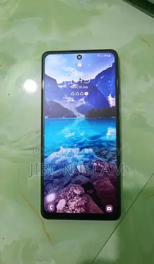 স্যামসাং গ্যালাক্সি এফ৬২ ১২৮ জিবি