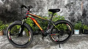 Phoenix Bicycle
