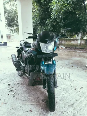 হিরো হাংক ২০২১ ব্লু