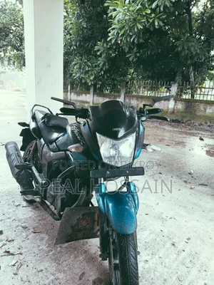 হিরো হাংক ২০২১ ব্লু