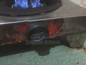 ডাবল বার্নার স্টেইনলেস স্টিল গ্যাস স্টোভ