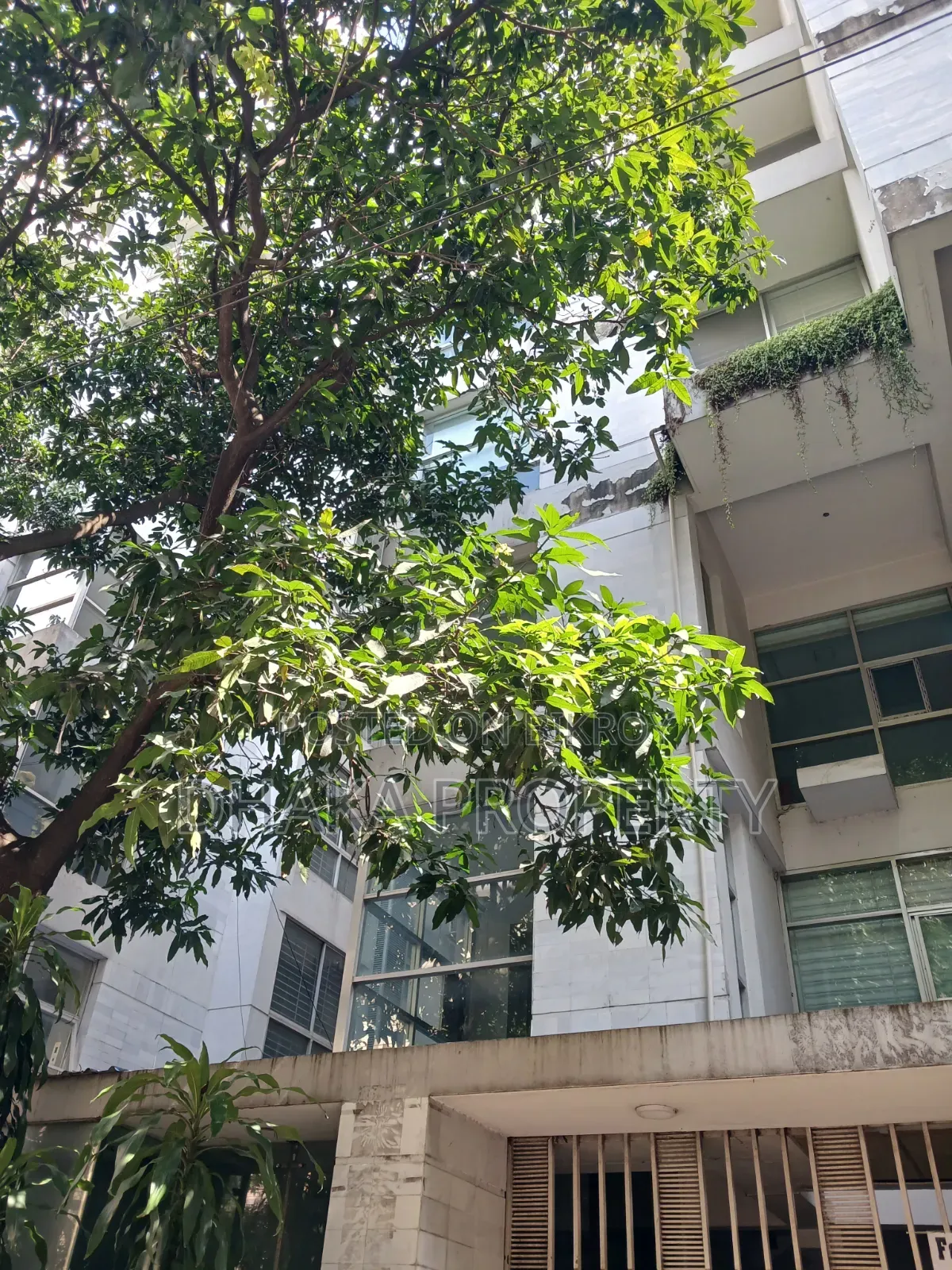 9 Stories Building Full Building for Office Rent at Gulshan