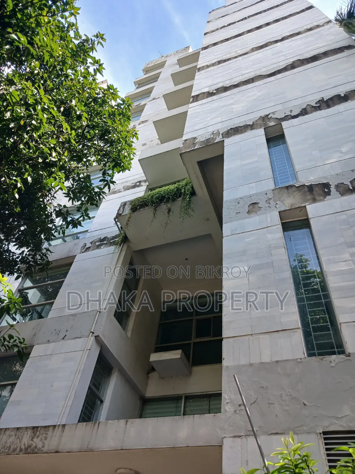 9 Stories Building Full Building for Office Rent at Gulshan