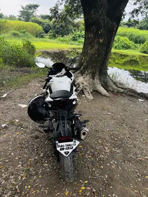 CFMoto 300SR 2025 White