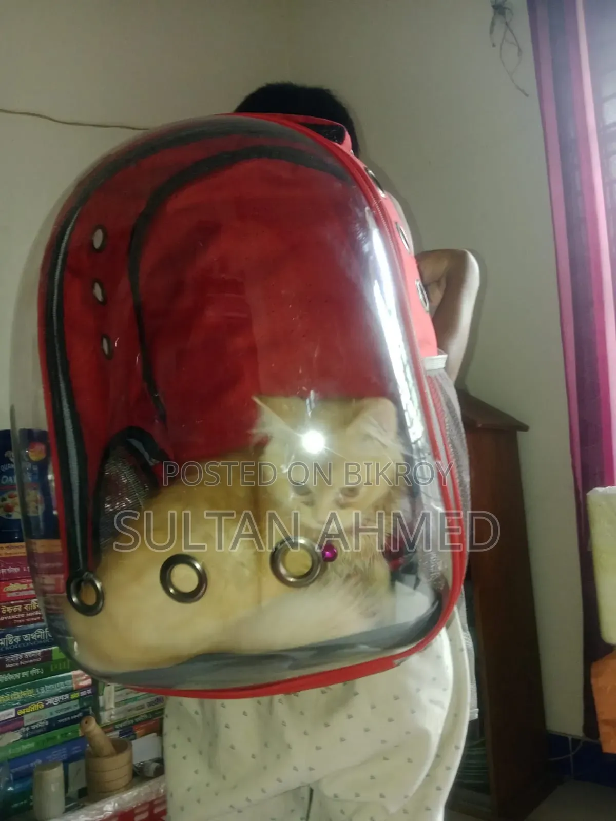 Cat bag for sale