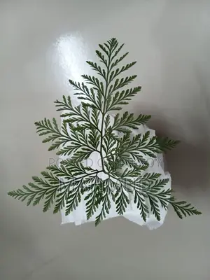 Premna and Tamarind Bonsai Materials, Fern — Mirpur