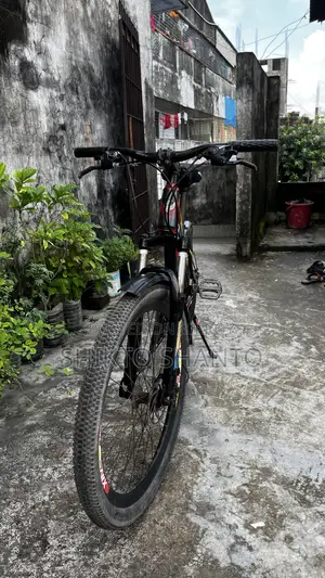 Phoenix Bicycle