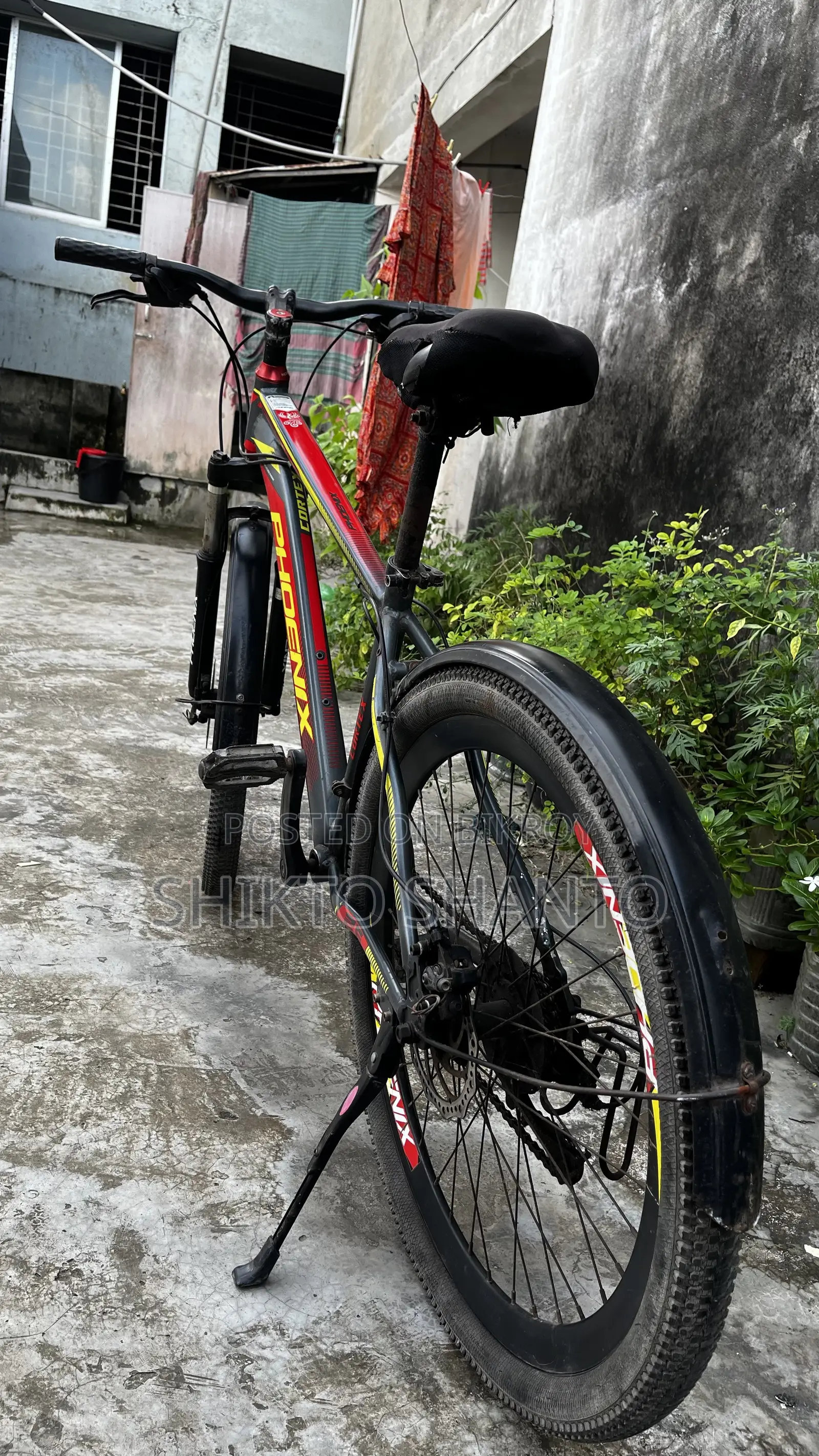 Phoenix Bicycle