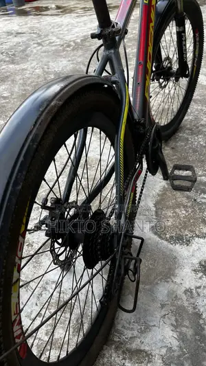 Phoenix Bicycle