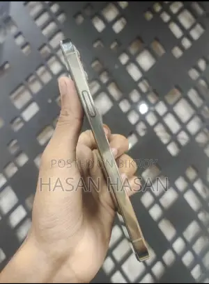 অ্যাপল আইফোন ১২ প্রো ম্যাক্স ১২৮ জিবি গোল্ড