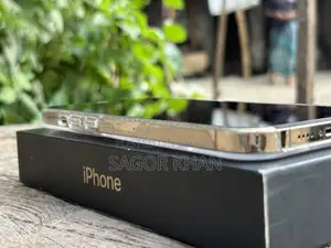Apple iPhone 12 Pro Max 256 GB Gold