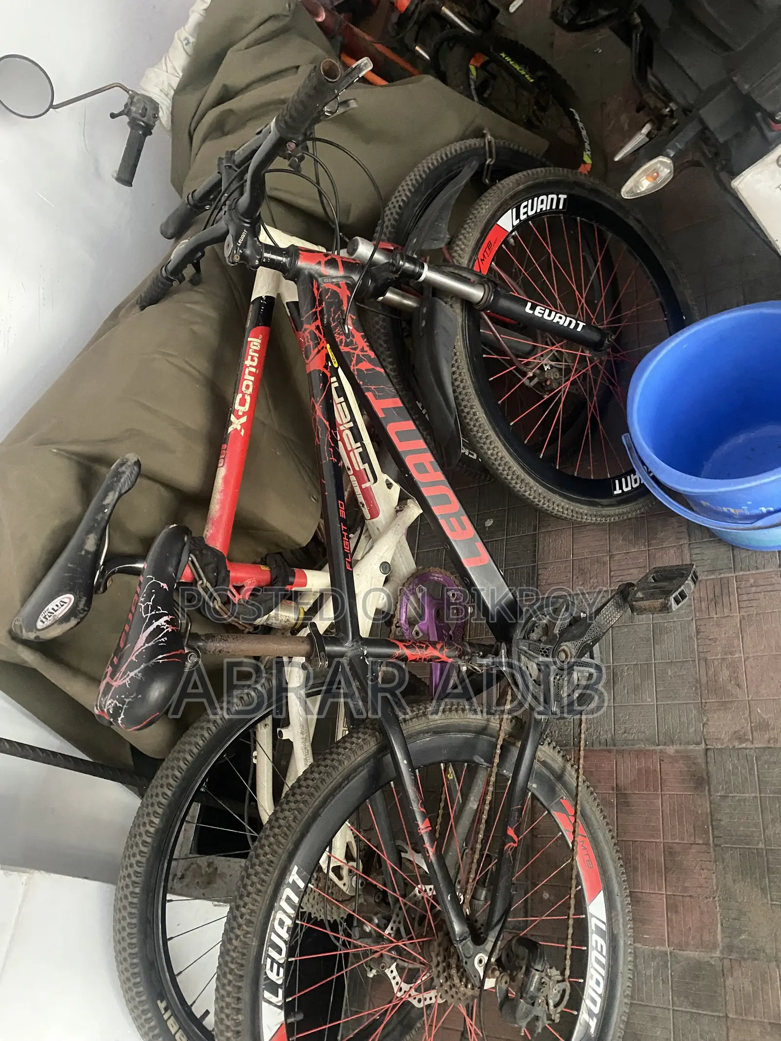 New Cycle Fresh