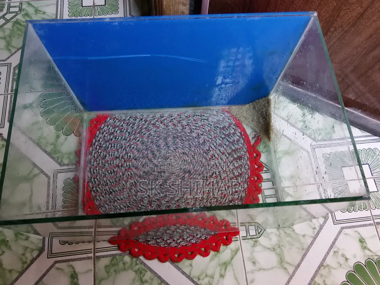অ্যাকোয়ারিয়াম (১৮/১২/১২)