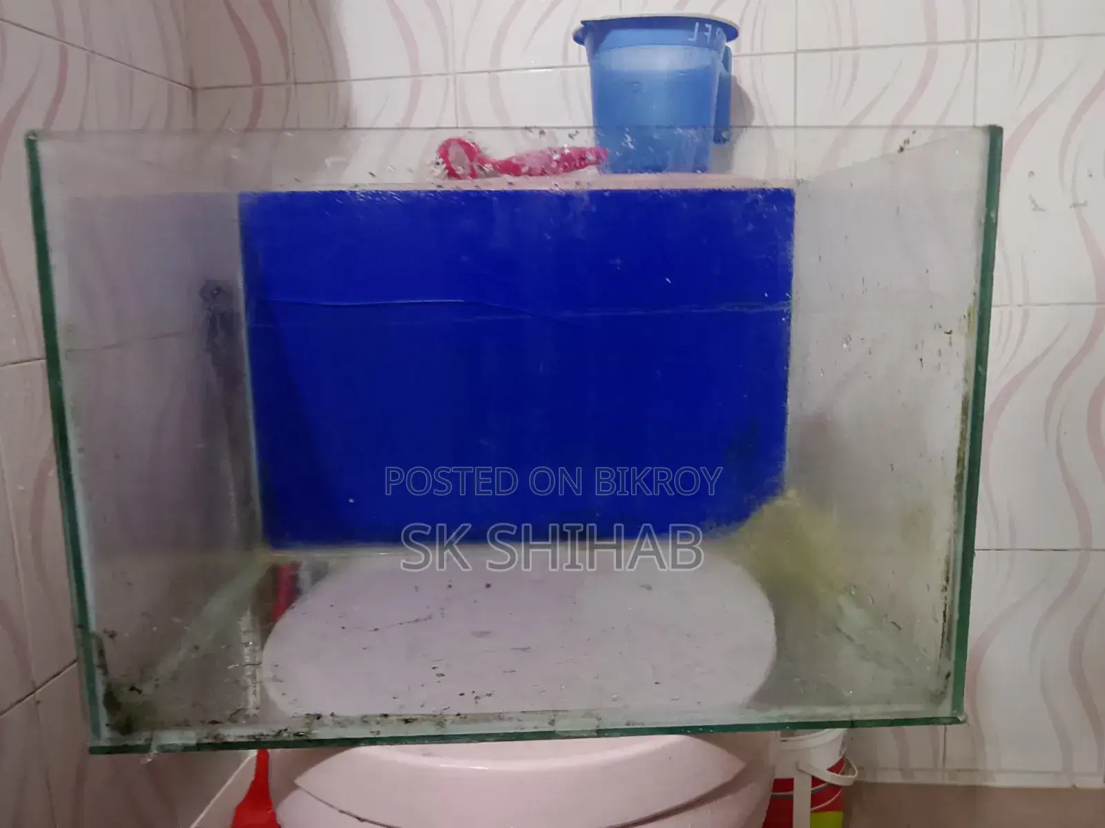 অ্যাকোয়ারিয়াম (১৮/১২/১২)