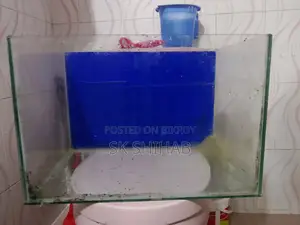 অ্যাকোয়ারিয়াম (১৮/১২/১২)