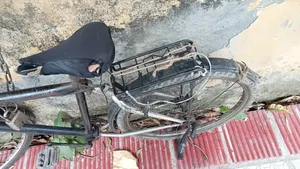 Used Bicycle