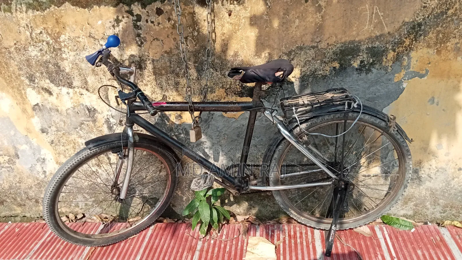Used Bicycle