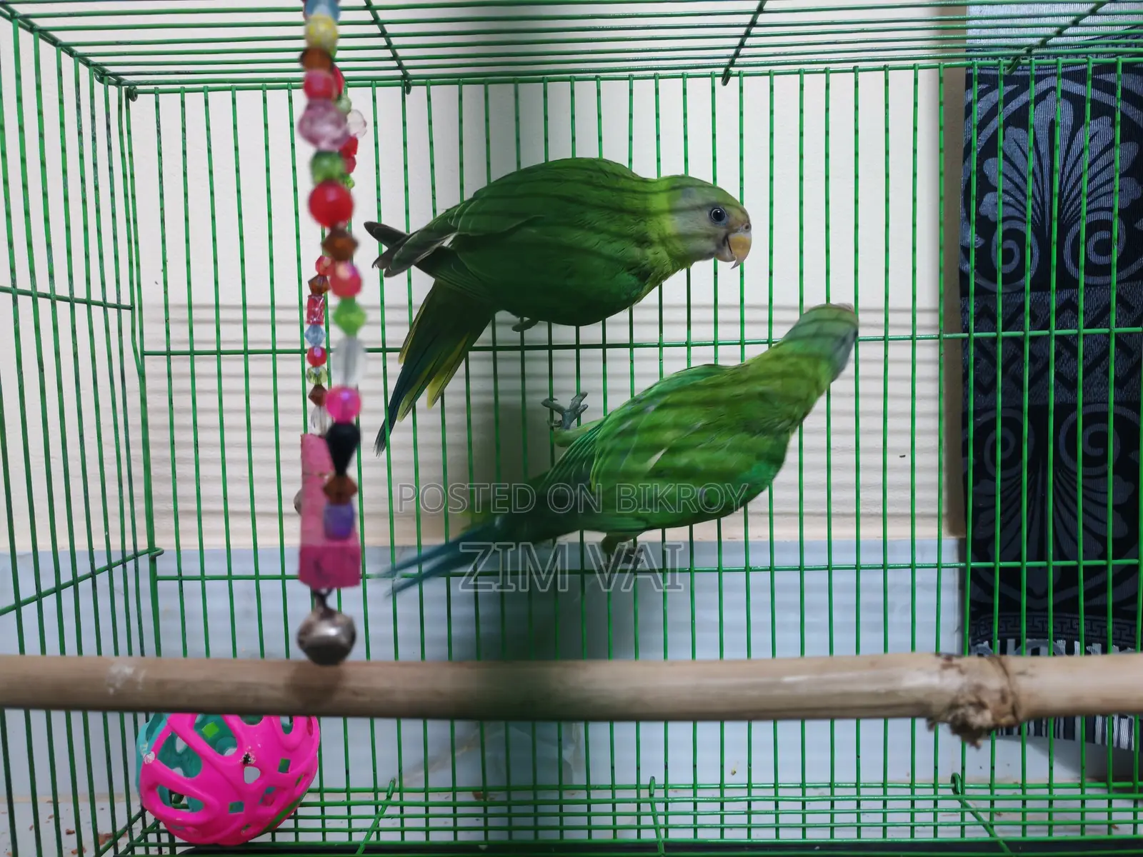 Hiramon Tia