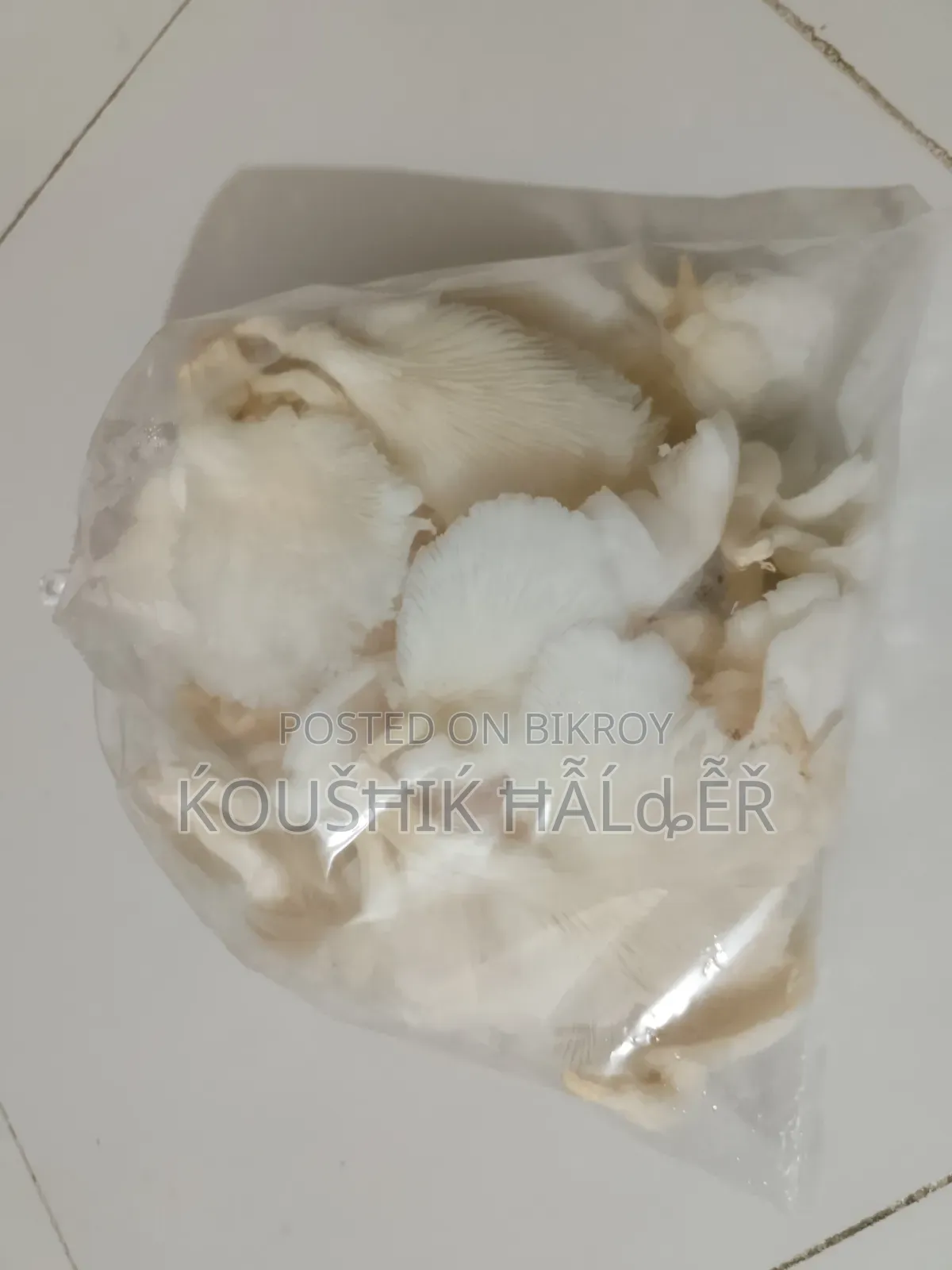 মাশরুম যারা বাসার খেতে চান। তাদের জন্য। আমাদের এই তাজা মাশরুম