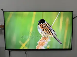 Haier 43” Google TV