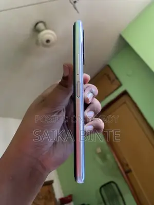 বেঙ্গল ৬৪ জিবি সিলভার