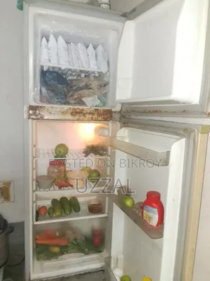Singer Fridge