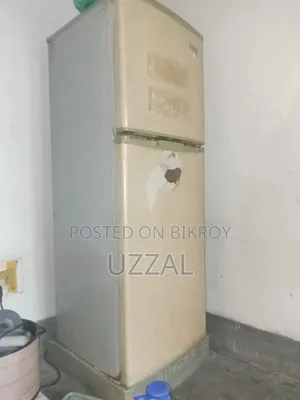 Singer Fridge