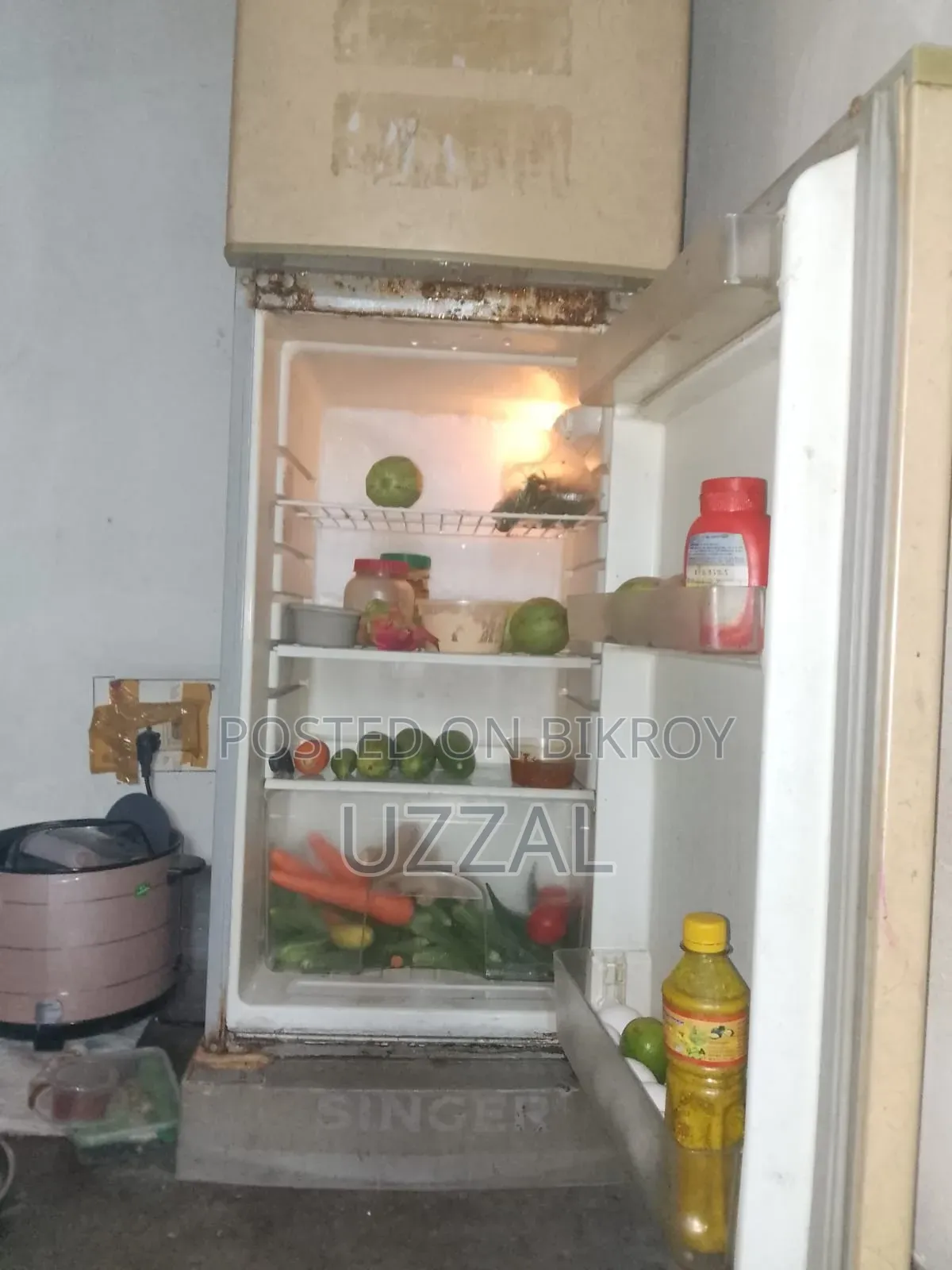 Singer Fridge