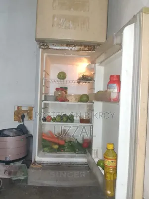 Singer Fridge