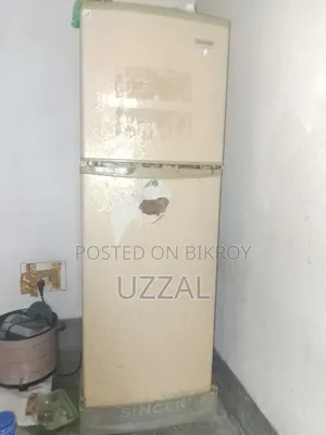 Singer Fridge