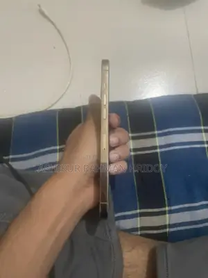 অ্যাপল আইফোন ১২ প্রো ম্যাক্স ১২৮ জিবি গোল্ড