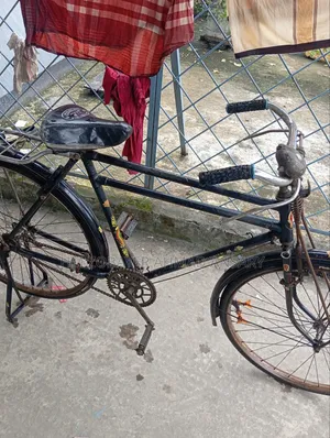 Phoenix Bangla Bicycle